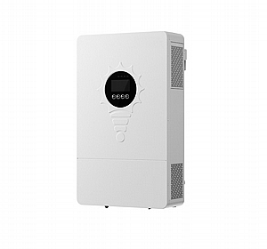 ממיר מתח היברידי NEWTEC CARBON 6KW 1P ממיר מתח היברידי NEWTEC CARBON 6KW 1P